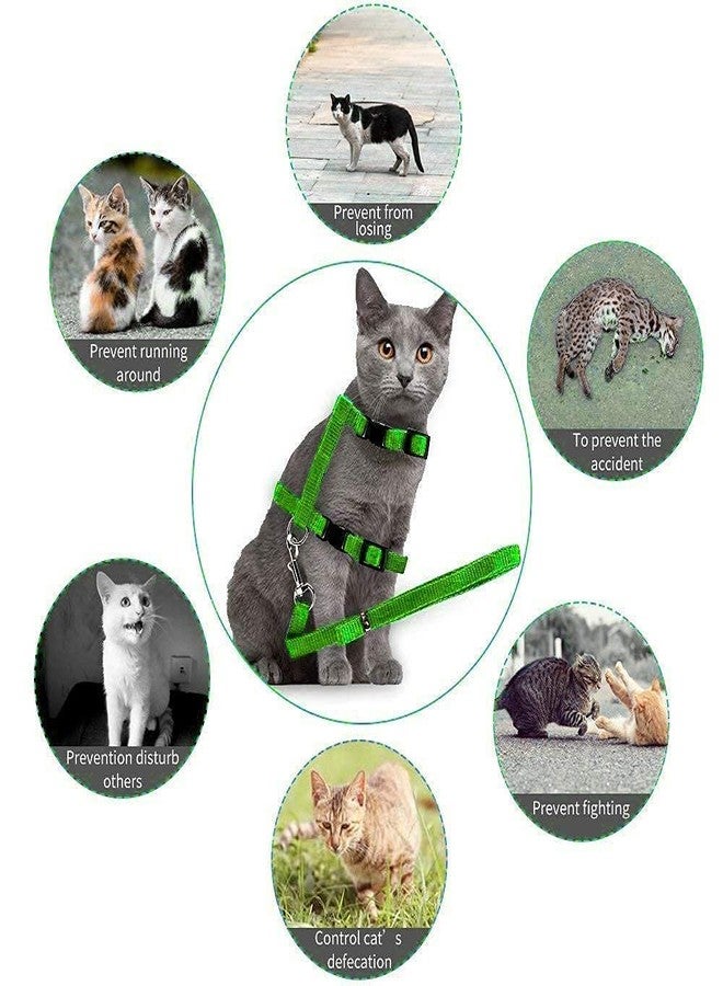 D&C PAWS طقم حزام ومقود من النايلون للقطط والأرانب والقطط الصغيرة والحيوانات الأليفة الصغيرة من دي آند سي باوز، طوق/حزام تدريب للقطط والأرانب والقطط الصغيرة والحيوانات الأليفة الصغيرة (نايلون) - Image 4
